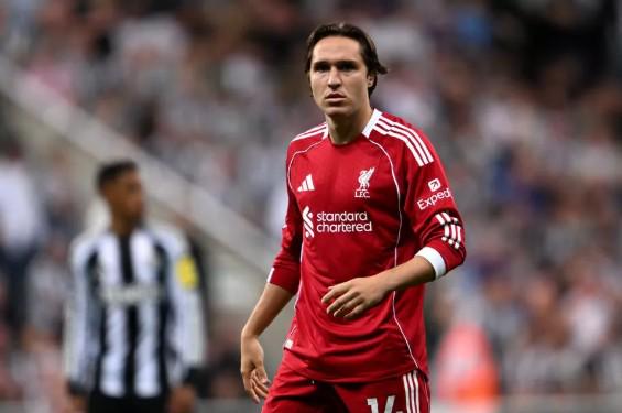 探究维卡里,热刺守门之,瑕非球队困,世界杯赛程,2026世界杯,比赛安排,赛事资讯,球队信息