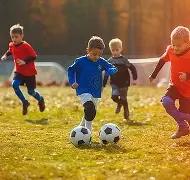 常规赛竞争,白热化,辽宁青岛遭,世界杯赛程,2026世界杯,比赛安排,赛事资讯,球队信息