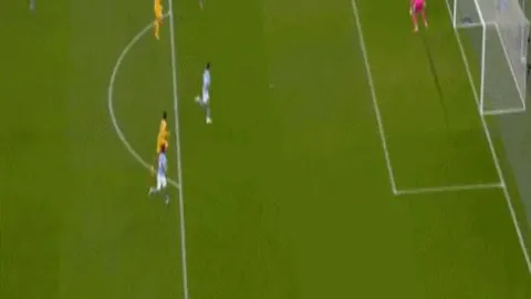 深圳球迷热烈庆祝巴托梅乌主席卸任庆典