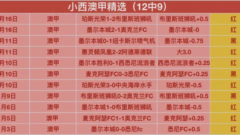 中国匹克球巡回赛总决赛在桂林盛大举行